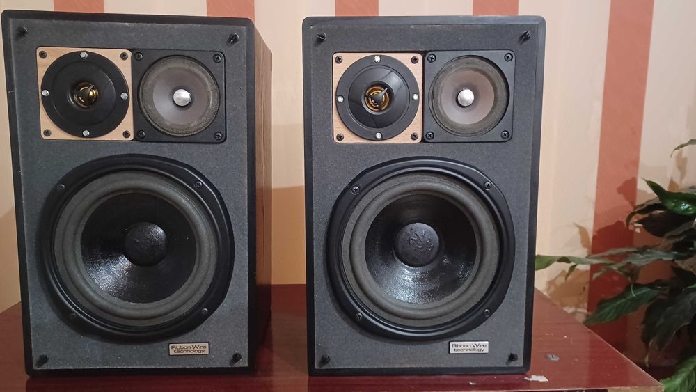 Boxe Magnat Mig-ribbon 3