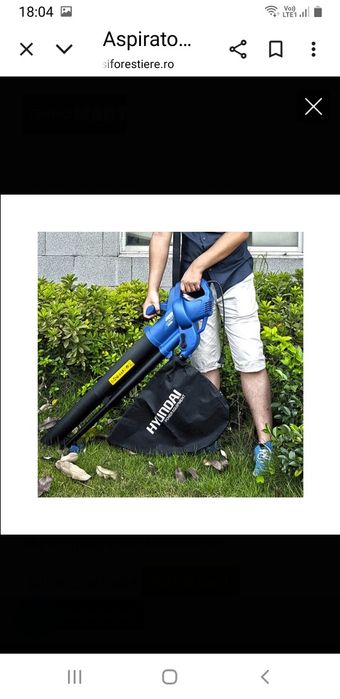 Suflanta-aspiranta-tocare frunze Hyundai 220v