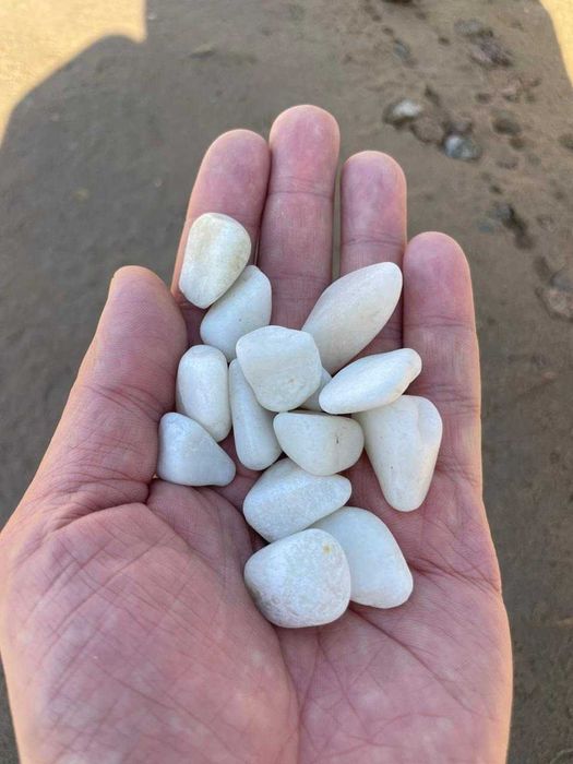 Автополив с гарантией