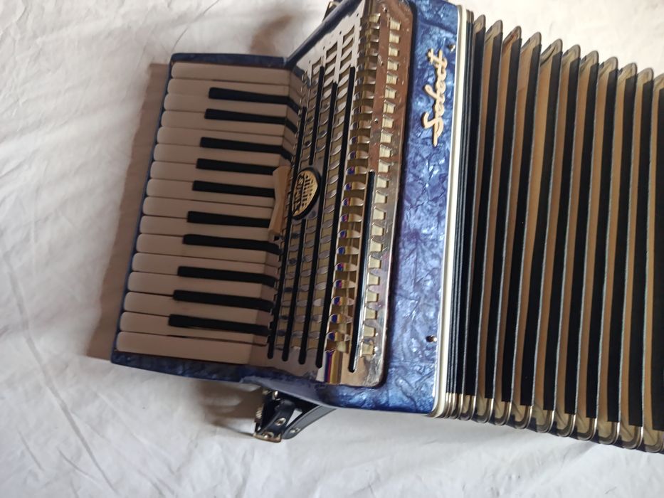 Acordeon Select Timis