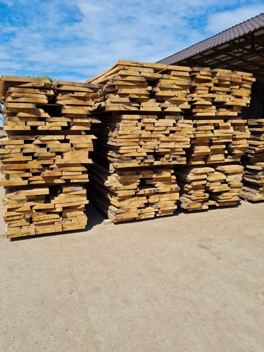 Cherestea stejar netivita verde