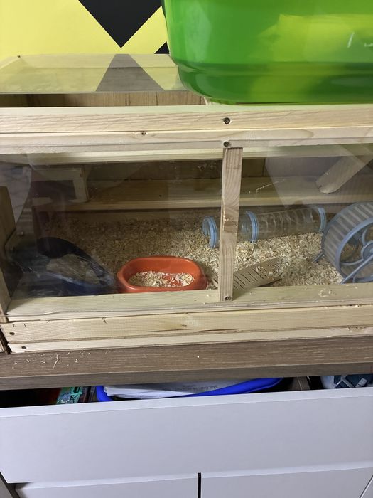 Hamsteri si cusca completa spatioasa