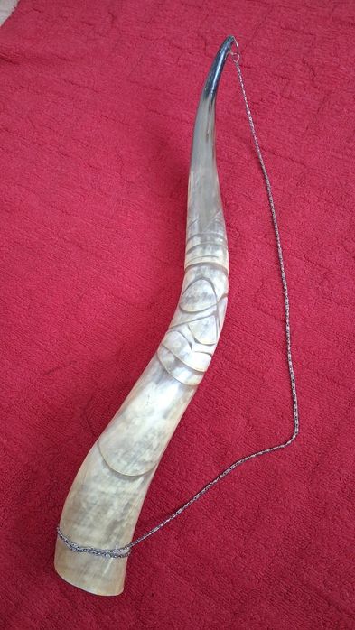 Рог изобилия большой