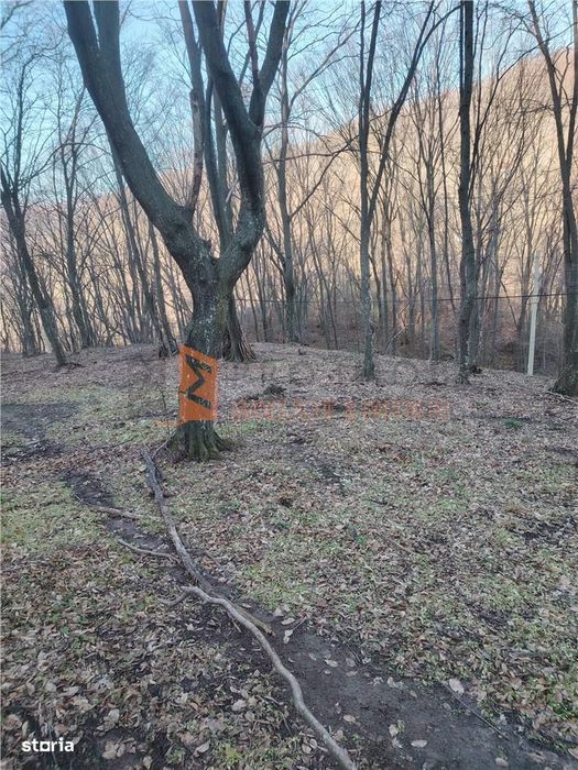 Teren intravilan zona Monteoru