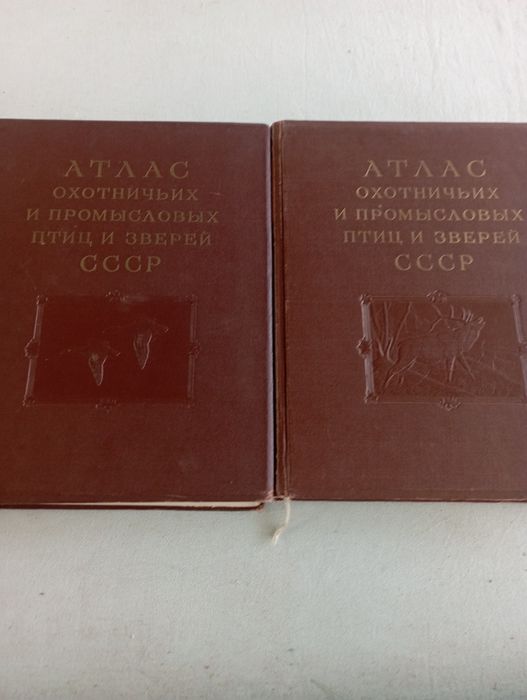 Книги для настоящих охотников.