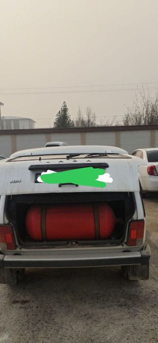 Niva xolati alo darajada