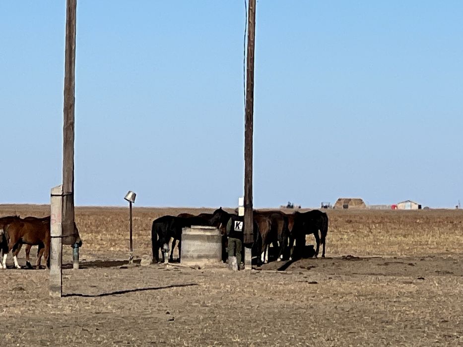 Продается крестьянское хозяйство