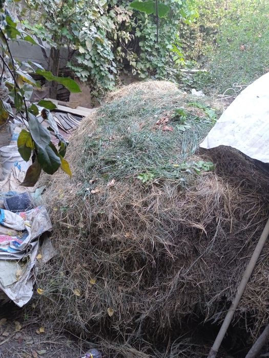 Oʻt sotiladi aralash