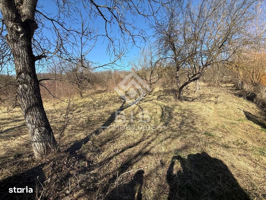 Teren 3341 mp Valea Budacului