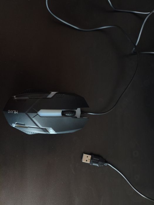 Мышь компьютерная