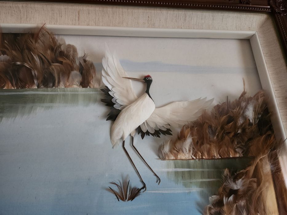 Продам картину из перьев