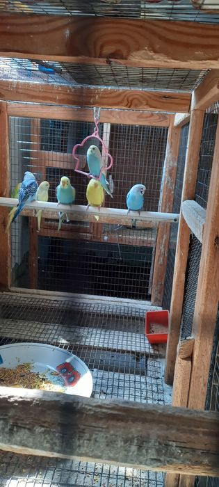 Радужныйлар  сотилади