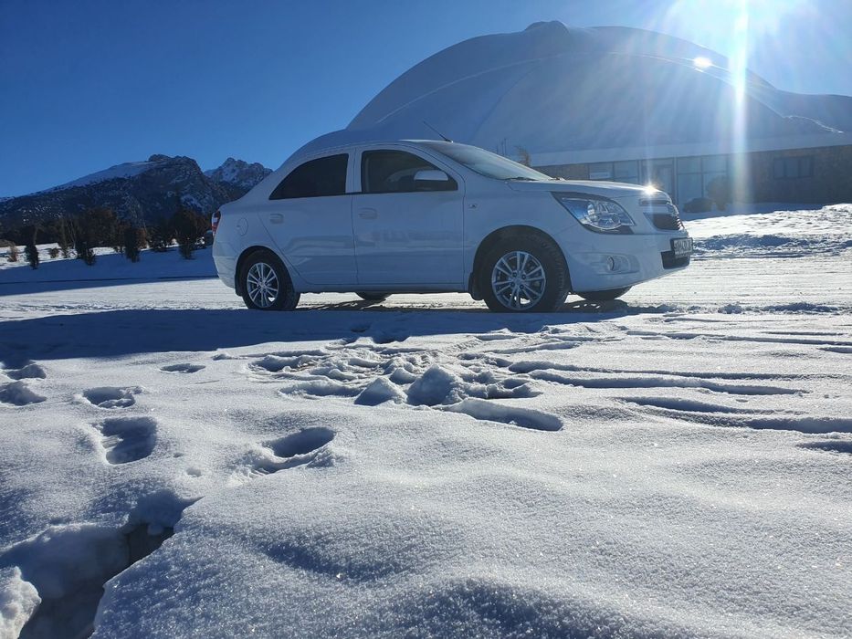 Kobalt 2024 ga 2025 metan bor