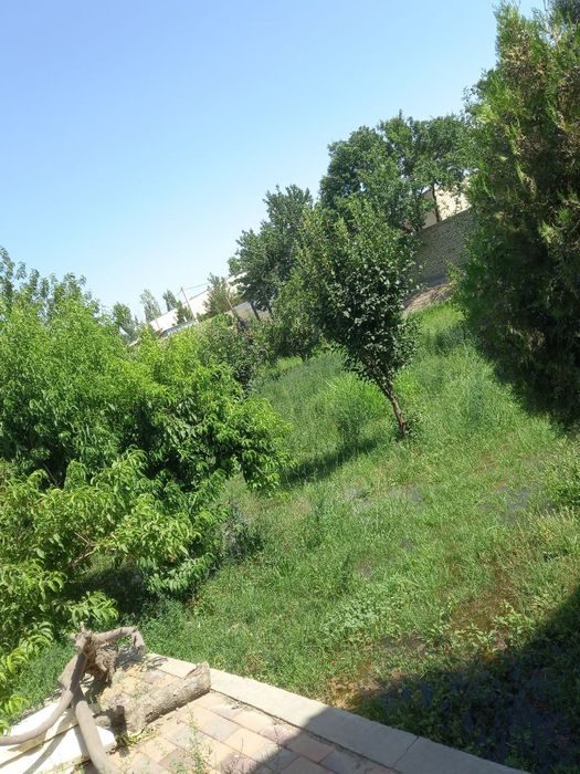 Srochniy sotiladi Buxoro viloyati rometan tumani