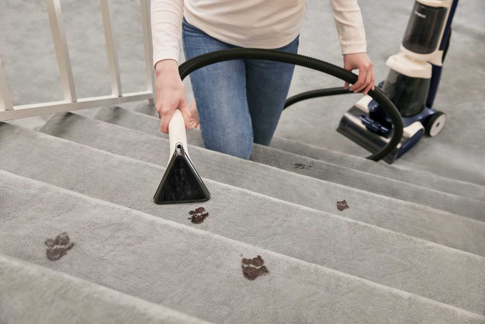 Aspirator de curățat covoare iCarpet, uscare puternică la 75°C, MS134