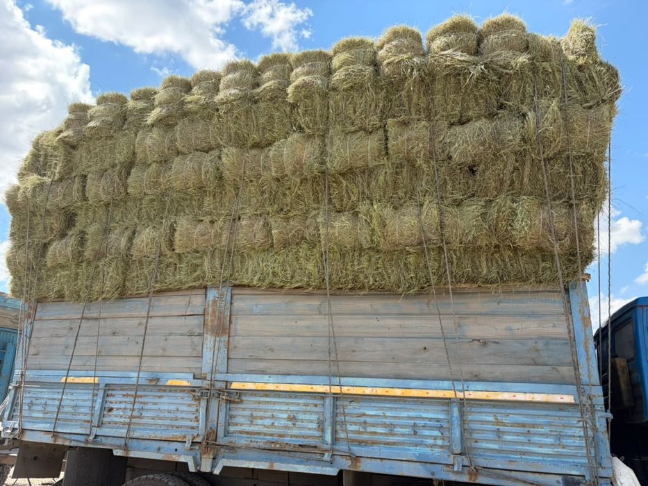 Продам Сено в тюках