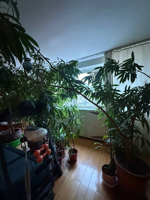 Продаётся Габус 5/4/6, 208м², с ремонтом и удобствами, срочно!!!