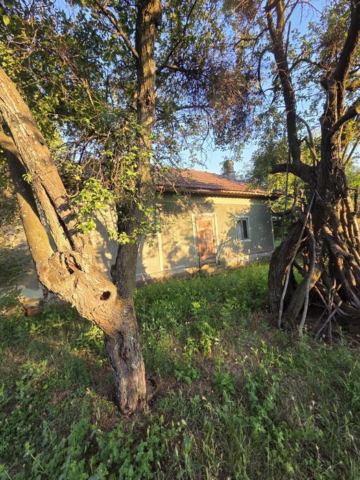 Casă batranească