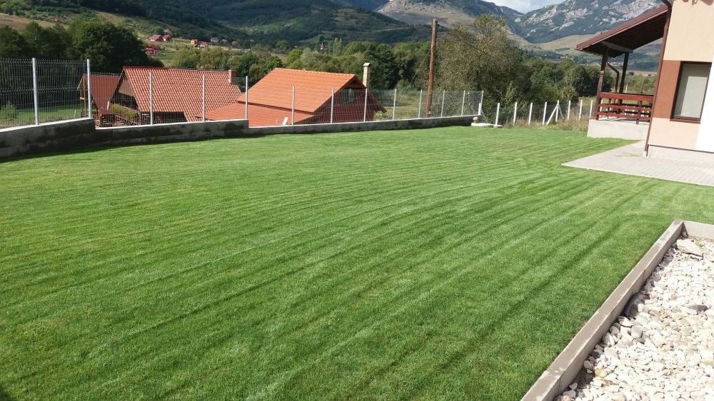 Gazon rulou  însământare   sisteme de irigat Rain Bird   gard viu