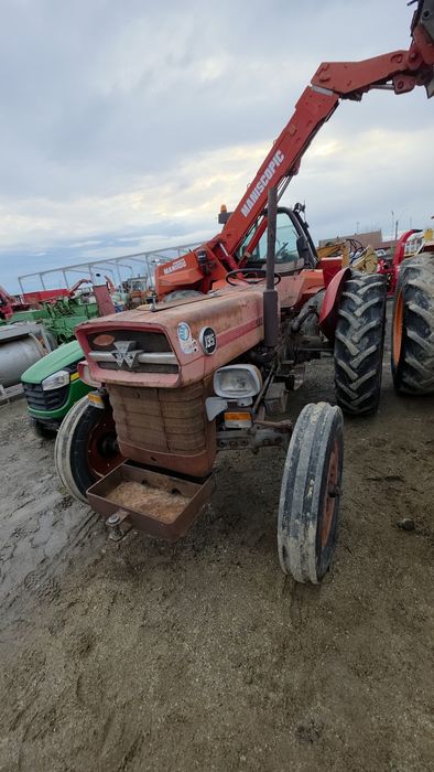 Tractor Massey ferguson 135 Import Italia‼️