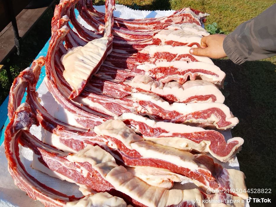 Ет Мясо Жылқы Конина Жіліктеп Туша