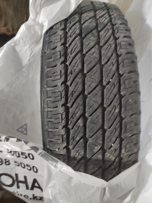 Автошины всесезонная NITTO