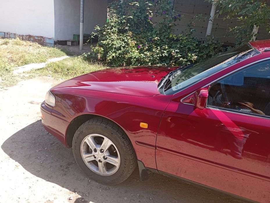 Kamri 10 европеец