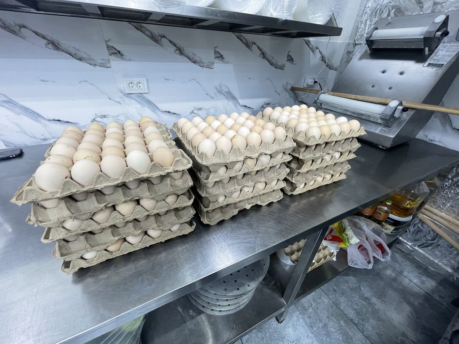 (Яйцо фабричная свежая) Tuxum