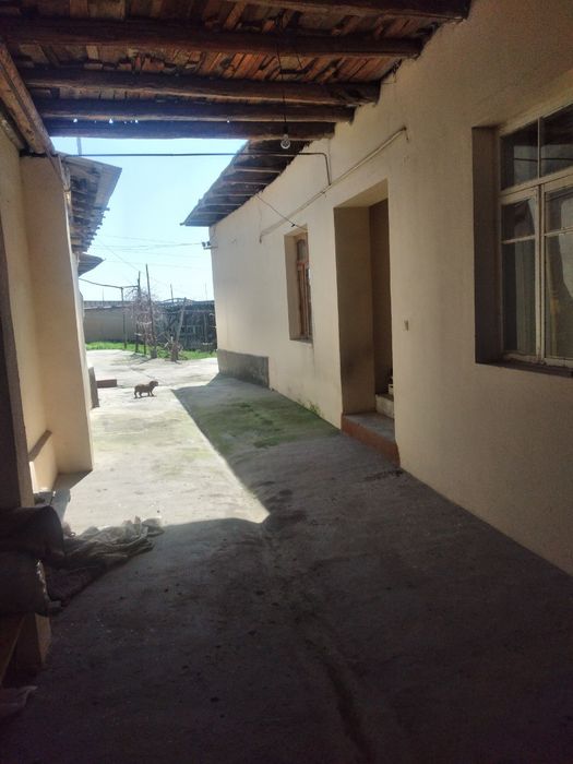 Soʻrchni sotilad narxini kelshmiza