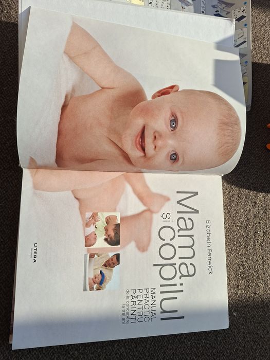 Mama si copilul Elizabeth Fenwick carte ed Litera