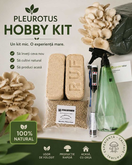 Kit complet-Cultiva Pleurotus acasa,