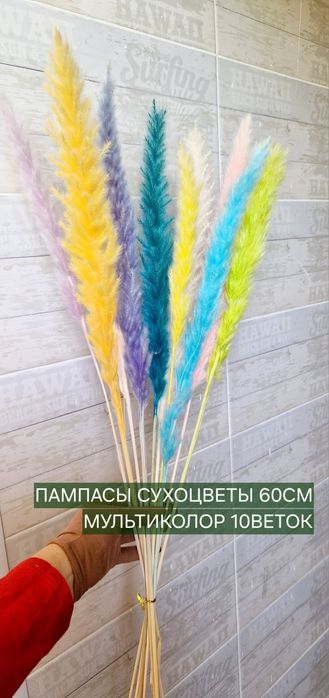 Гипсофила, Лагурус,Эвкалипт стабил.цветы,