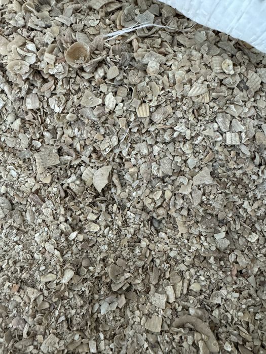 Ракушка кормовая