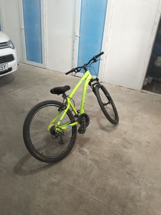 Bicicleta de adulți