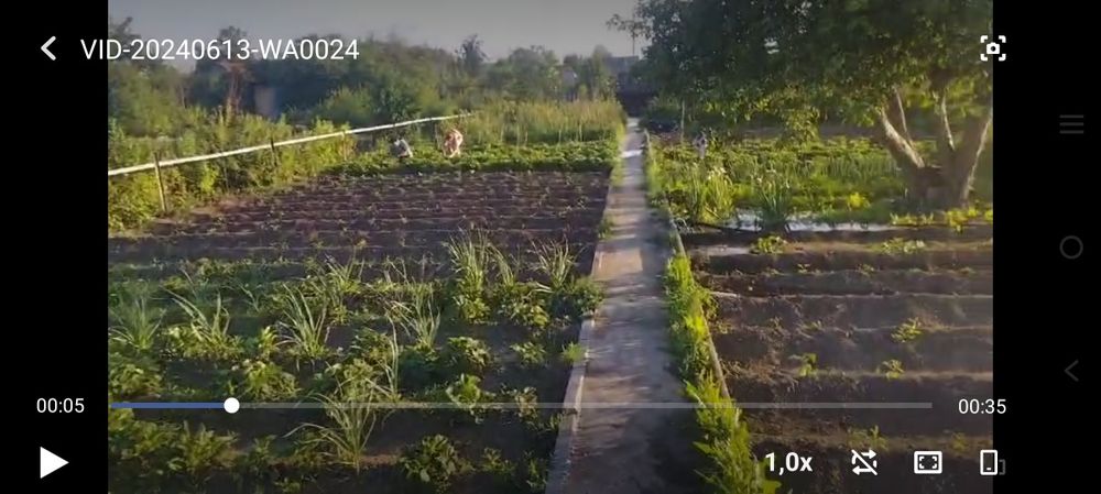 Дачи в с/к Дорожник