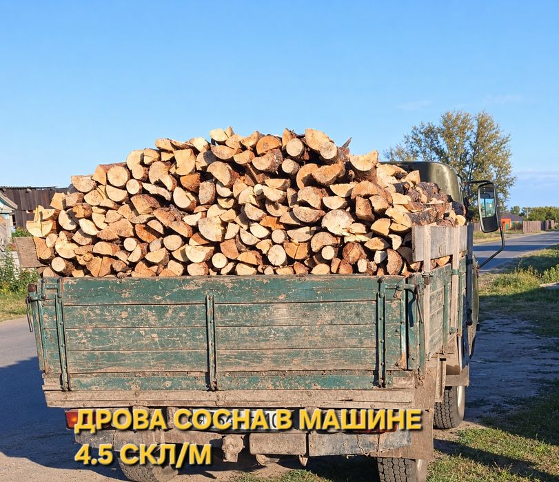Дрова сосна сухие