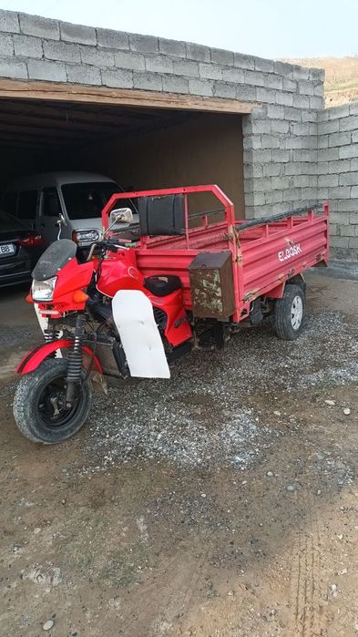 Муравей юк ташиш учун