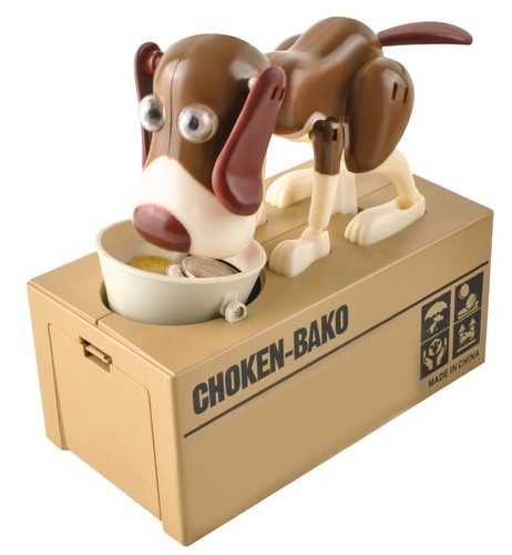 Касичка - коте и куче