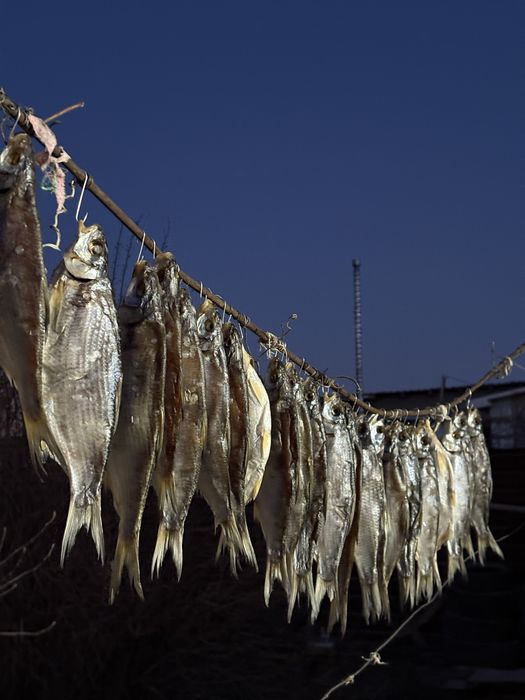 Рыба «Рыбец».