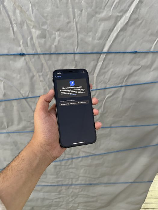 Iphone 12 pro max 79% idael