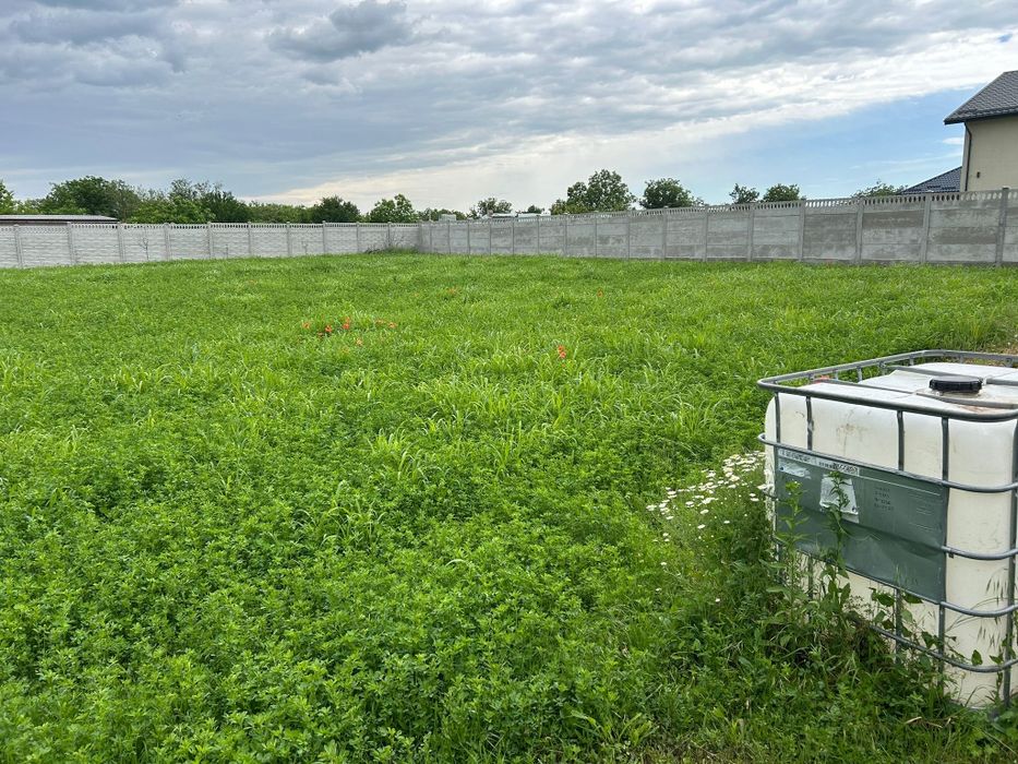 Teren intravilan Fundulea-Str.Mircea Nedelciu