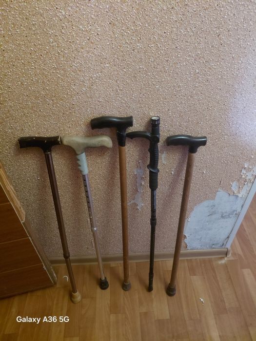 Отдам трости бесплатно