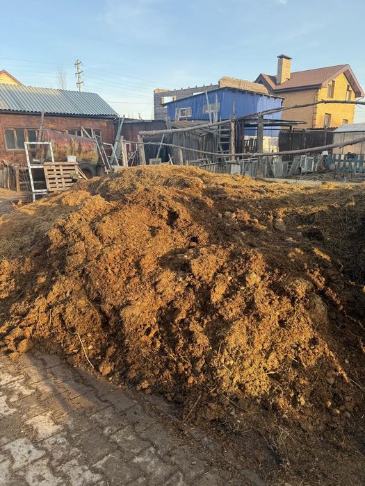 Навоз бесплатно отдам