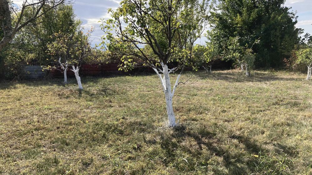 Продава се Къща в София, Младост 1 - 92 кв.м за 381 €/кв.м - Снимка #17