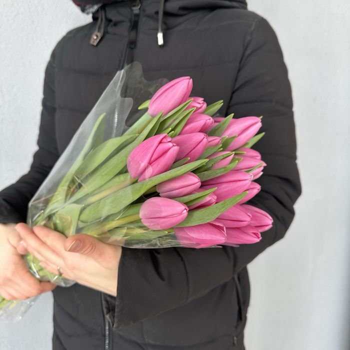 Тюльпаны Кокшетау