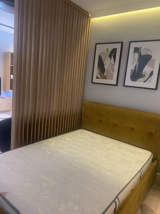 Inchiriere  apartament modern situat ultracentral
