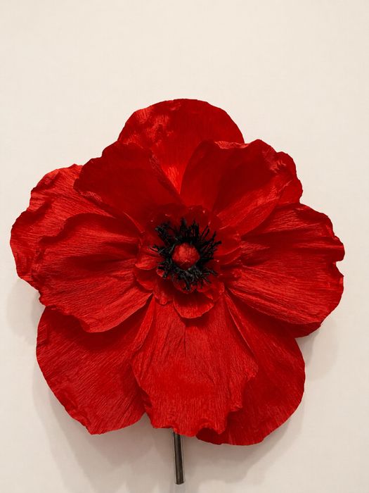 Цветы бумажные большие