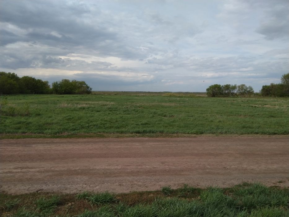 село Родина, Акмолинская область.