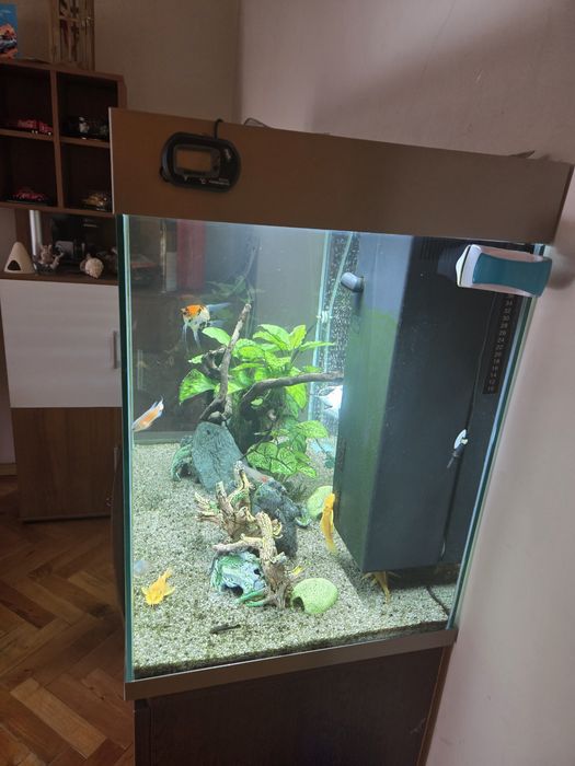 Аквариум CIANO 80 Pro