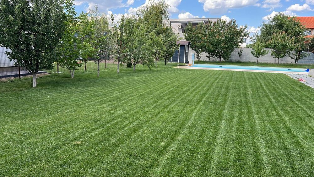 Gazon rulou, sisteme irigare automatizate, amenajare spatii verzi